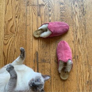 THE SABAH DEALER SHEARLING SLIP-ONS